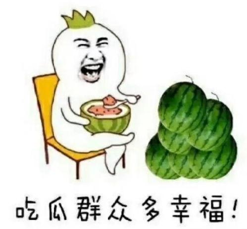 吃娱乐圈搞笑的瓜,搞笑瓜果盘点